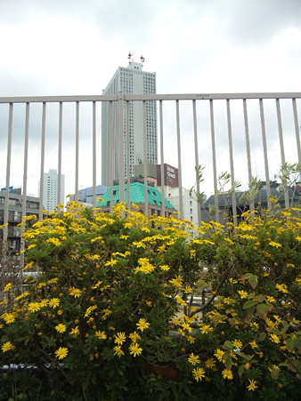 53966695_v1287718237